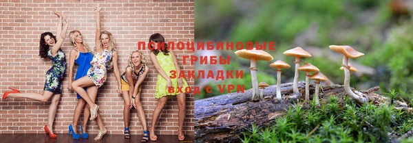 прущая мука Арсеньев
