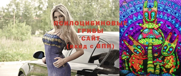 соль курить ск Алзамай